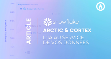 service-licence-snowflake-credit-ia-arctic-cortex